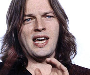 David Gilmour, The Wall Tour, 1981
